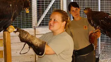 Le meilleur d'une saison au zoo