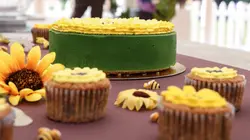 Le meilleur pâtissier  S11E08 Vive la Provence !