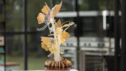 Sur M6 à 21h10 : Le meilleur pâtissier : Les professionnels