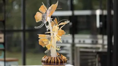 Le meilleur pâtissier : Les professionnels S05E02 Émission 2