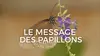 2021 • Le message des papillons