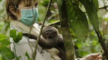 Le messager E01 Véronique Jannot sur la terre des gibbons