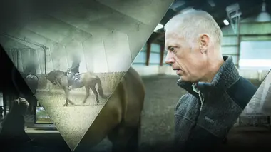 Le milliardaire qui torturait les chevaux