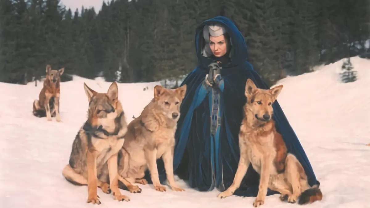 Le miracle des loups