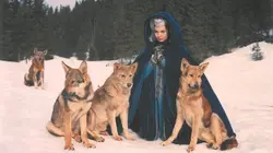 Le miracle des loups