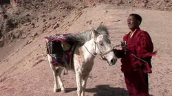 Visuel de Le moine-médecin de l'Himalaya
