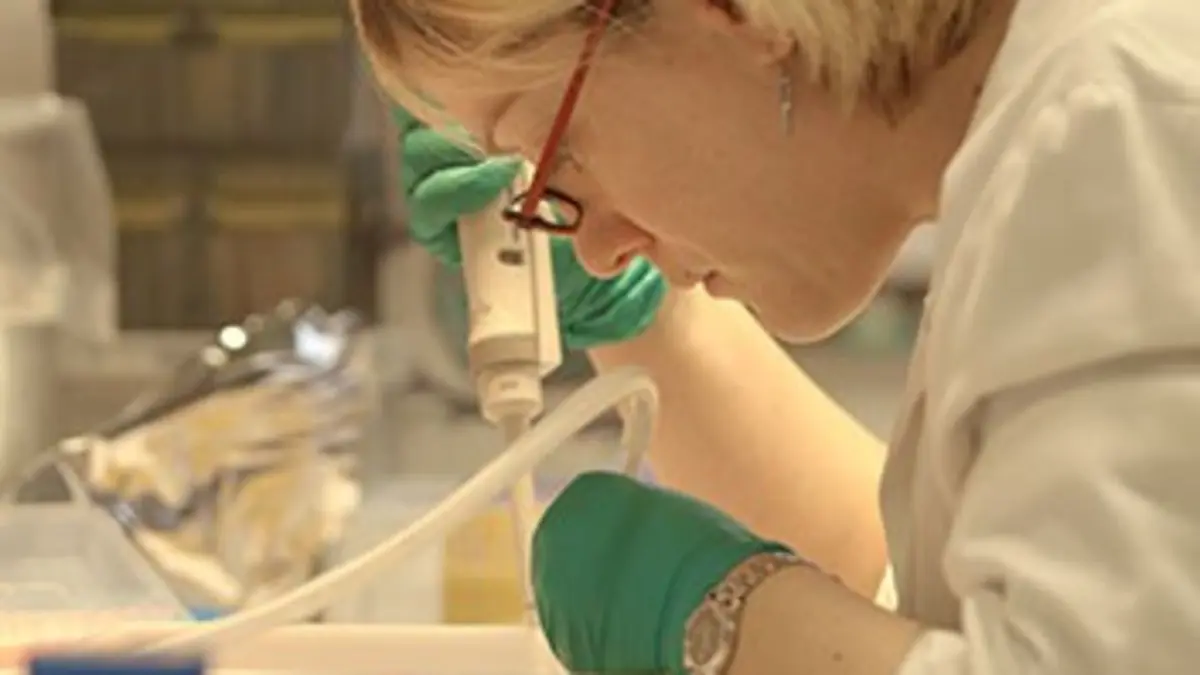 Le monde bactérie : ces microbes qui nous gouvernent