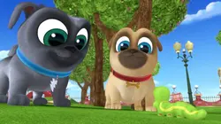 Sur Disney Junior à 18h30 : Le monde de Bingo et Rolly