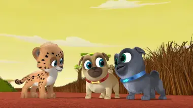 Aussi rapide qu'un guépard / Une soupe pour Bob