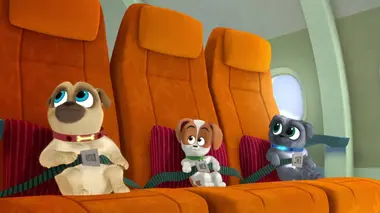 Le cousin Cody. - Les nerfs en pelote