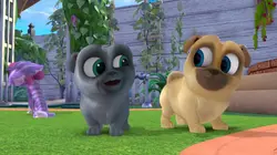 Sur Disney Junior à 18h30 : Le monde de Bingo et Rolly