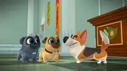 Sur Disney Junior à 19h00 : Le monde de Bingo et Rolly