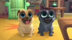 Sur Disney Junior à 19h01 : Le monde de Bingo et Rolly