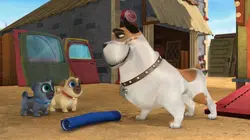 Sur Disney Junior à 19h00 : Le monde de Bingo et Rolly