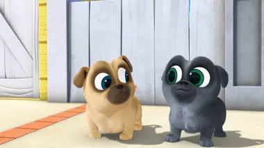 Un bus à bulles en panne