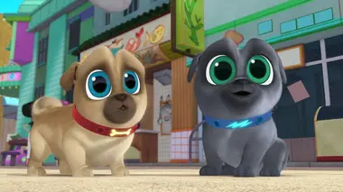 Les chiots du soleil