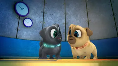 L'autographe de Markus Bestie / Des pancakes et un pull pour Bob