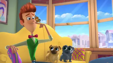 Le gâteau d'anniversaire de Cupcake / La course au toilettage