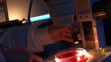 Les futurs surhommes