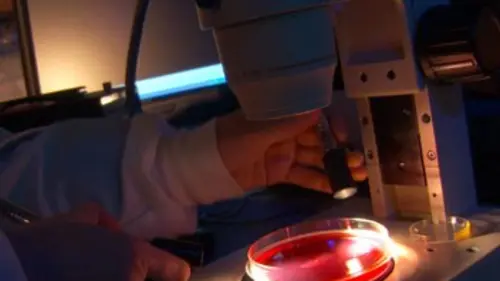 Casting Le monde de demain E05 Les futurs surhommes