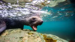 Le monde de glace E01