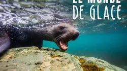 Le monde de glace E01