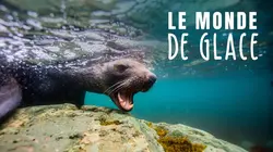 Le monde de glace E01