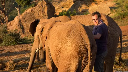 Le monde de Jamy Au coeur de la faune sauvage