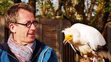 Au coeur de la faune sauvage