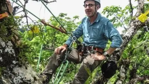 Le monde de Jamy E05 Des forêts et des hommes