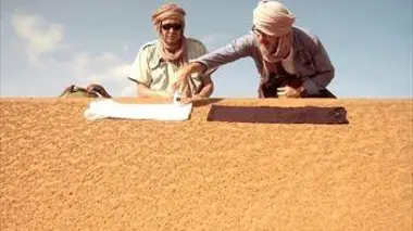 Canicules, sécheresse : quand notre thermomètre explose !