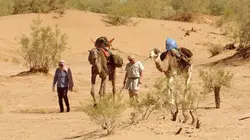 Le monde de Jamy Canicules, sécheresse : quand notre thermomètre explose !