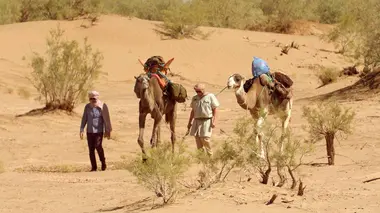Canicules, sécheresse : quand notre thermomètre explose !