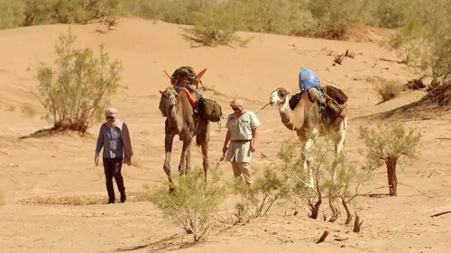 Le monde de Jamy Canicules, sécheresse : quand notre thermomètre explose !
