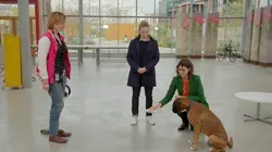 Le monde de Jamy E22 Nos animaux ont la parole