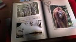 Le monde de Jamy E27 Animaux : une affaire de famille
