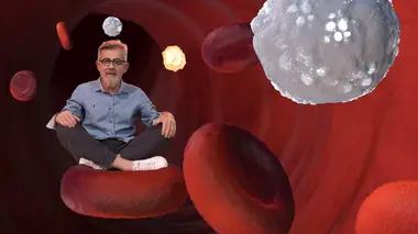 Santé, transports, climat : les animaux ont la solution !