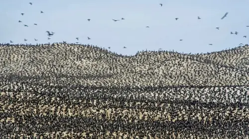 Le monde des océans Abris