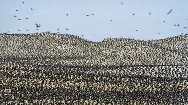 Le monde des océans Abris