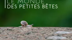 Le monde des petites bêtes