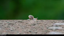 Le monde des petites bêtes