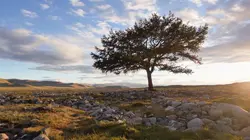 Le monde des petites bêtes