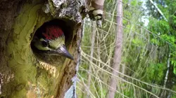 Le monde des petites bêtes