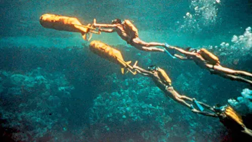 Le monde du silence