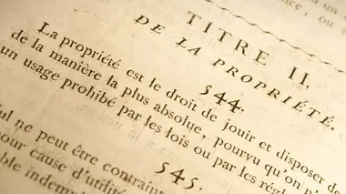 Le monde et sa propriété Breveter le vivant