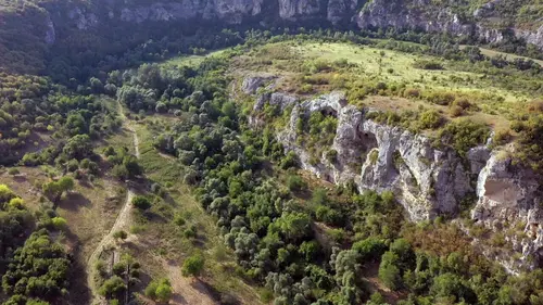 Le monde fabuleux des chauves-souris