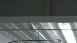 Le monde incroyable de Gumball S04E34 Les racines