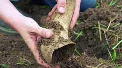 Le monde occulte de Rudolf Steiner