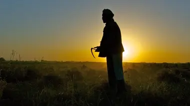 La terre de la toison d'or