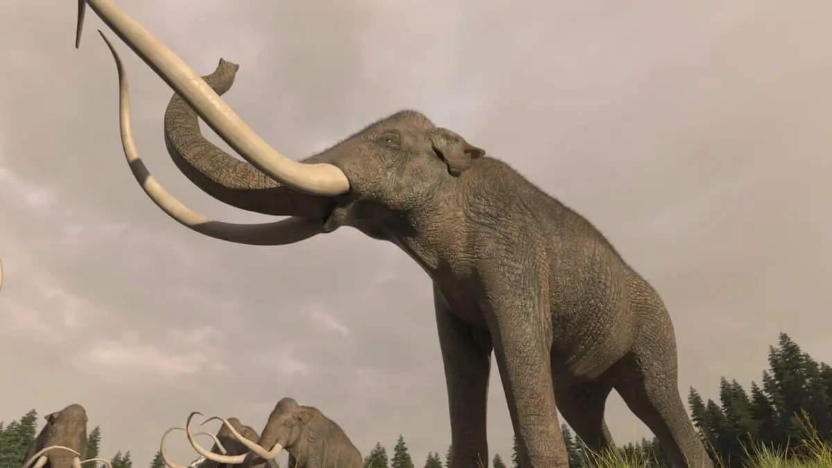 Le monde perdu des mammouths